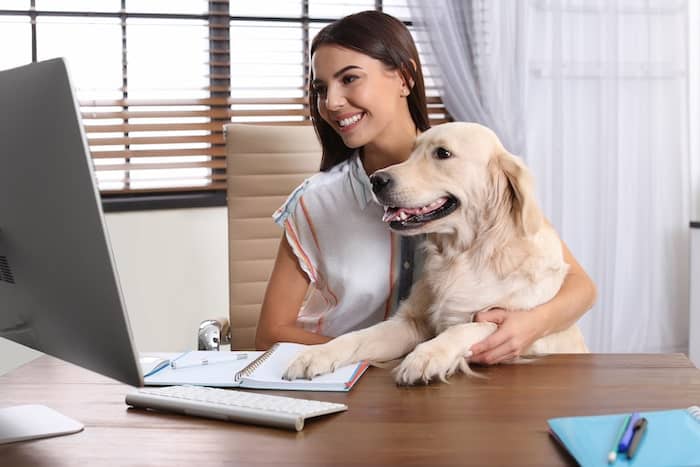 woman on computer with dog